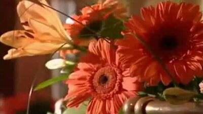 Женщины качки фото