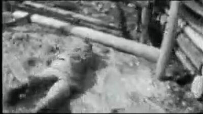 Алиса стерх