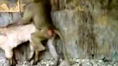 Жесткий немецкий трахен-трахен.