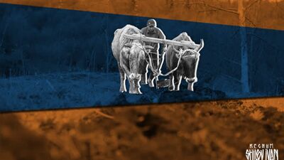 А. Запольскис. Чернозем: Украина продает последнюю рубашку, остаются только портки