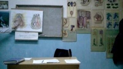 Анатомия. женская половая система