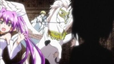 Аниме: Чемпион! / Campione! опенинг