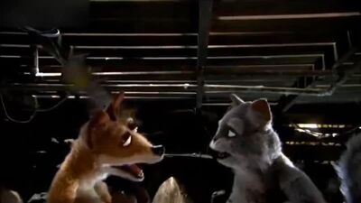 Ах ты мерзкий росист расист Типичный Француз бешеный не все Французы бешеные Ублюдки Mongrels