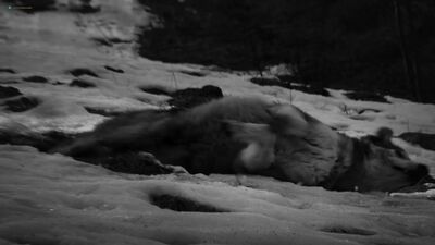 Rea Lest Nude - November (EE 2017) HD 1080p Web Watch Online