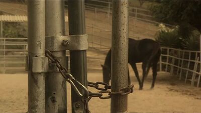 Дерзкий ебарь жестко трахнул его девушку в реальной съемке