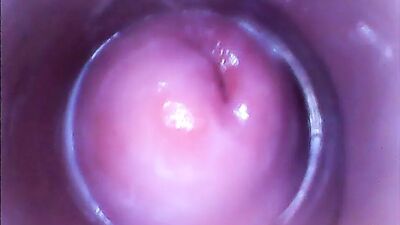 PjGirls Silvia Deluxe вставляет камеру в ее вагину (киска)