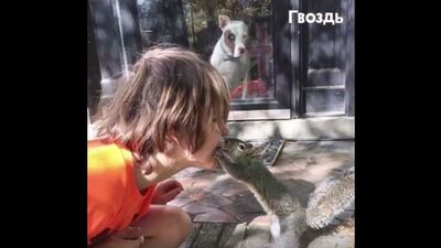 Мама вышла за порог и застыла в шоке! Я думал, такое бывает только у Диснея...