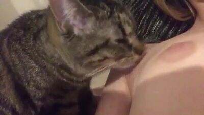 Киса лижет киску [18 +] (кошечка, сосочки, титьки, влажная)