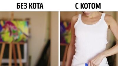 Без кота жизнь не та