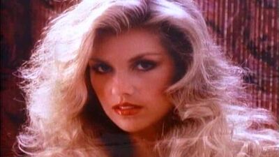 Playboy. Playmate of the year. The 80's.