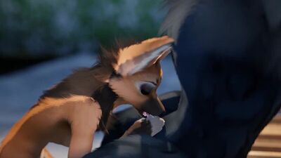Furry yiff dog fox wolf