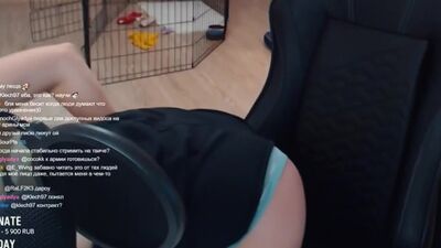 Аринян спалила трусики на стриме | СЛИВ [ сливы знаиенитостей, ahrinyan, попа, грудь, сиськи, попка, стримерша, ахринян, твич