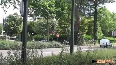 Рыжая пробует все