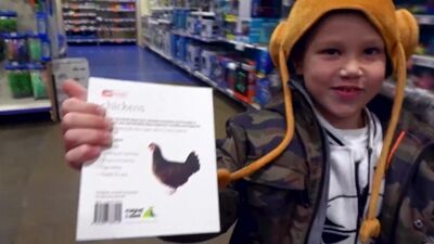 МИСТЕР МАКС Наказан за Курицы. Поход с МИСС КЕЙТИ в зоопарк в Магазине к Животным. MISTER MAX кушает в KFS кукурузу с MISS KATY.