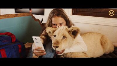 Миа и белый лев — в кино с 11 апреля