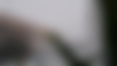 28.01.19_08.02.19 mornings TEYA_ZHANG Song: Ame no Parade — MORNING (Honobono Log OP)