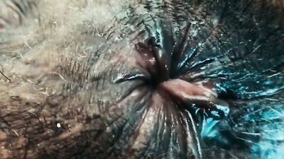 NASTY HAIRY ASSHOLE COMPILATION, DIRTY SWEATY BUTTHOLE FETISH