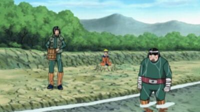 [Naruto-Brand] Naruto 161 серия / Наруто [ТВ-1] 161 серия [Профессиональная (2x2)]