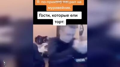 [серый пенал] теперь я каждый день сижу в тик токе