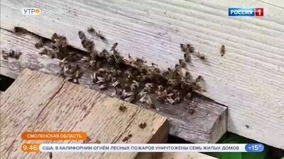 05.06.2020 0930мск HD720 Утро России Часть 2