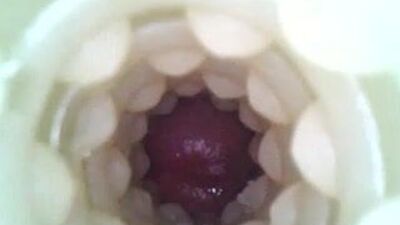 Камера в бороскопе внутри искусственной вагоны