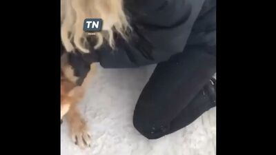 Video by ТИПИЧНЫЙ АГРЫZ | ӘГЕРҖЕ