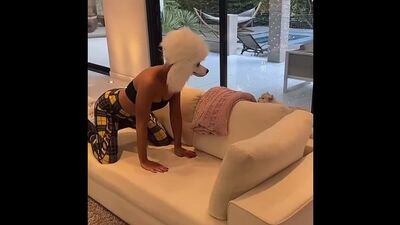 Кейт Бекинсейл в схватке с котом