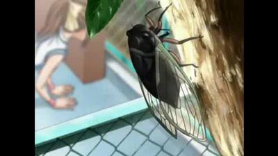 Hentai,Xentai,хентай,юри,яой