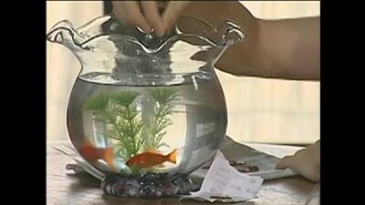 Japanese love story 300 - PORNVEE.mp4