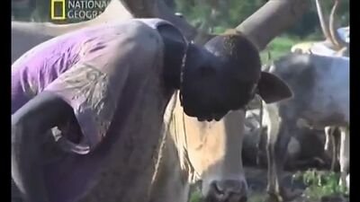 Африканское порно