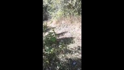 VIRAL Kepergok Warga disuruh Nyepong dan Entot - DoodStream