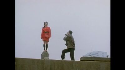 Survey Map of a Paradise Lost (1988)