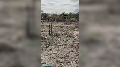 OnlyFans214 LittleAngel84 Anal On Bed XXX OnlyFans