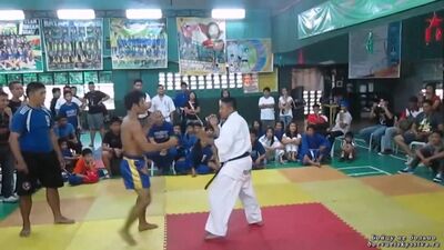 Kyokushin Karate [черный пояс] vs Muay Thai