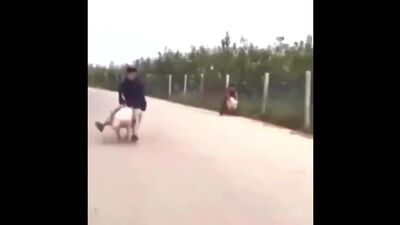 Мы бежим как будто НА гепардах