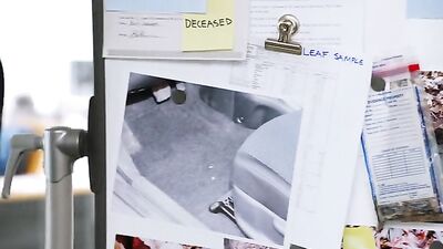 Голая Hayley Atwell