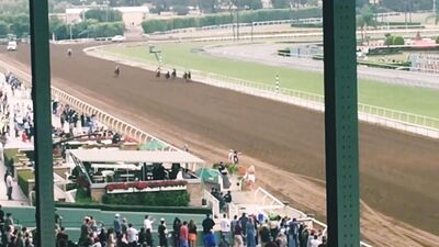 Elena Koshka ХХХ ОнлиФанс