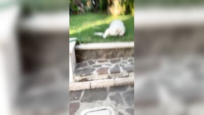 Angel Wicky ХХХ ОнлиФанс