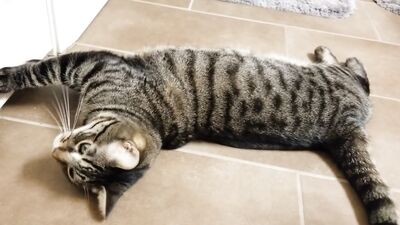 Ember Snow ХХХ ОнлиФанс