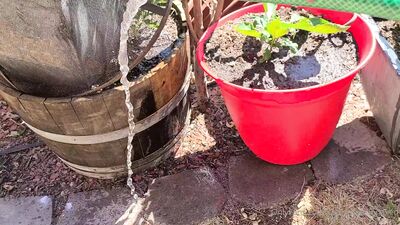 Channelone ХХХ ОнлиФанс