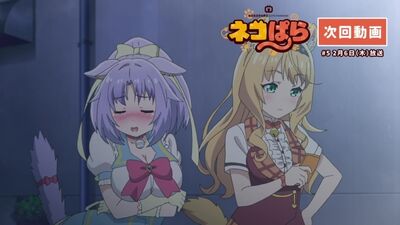 Nekopara | Кошачий рай - превью 5 серии.