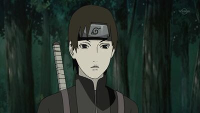 Серия 238, сезон 2 - Наруто: Ураганные Хроники / Naruto: Shippuuden