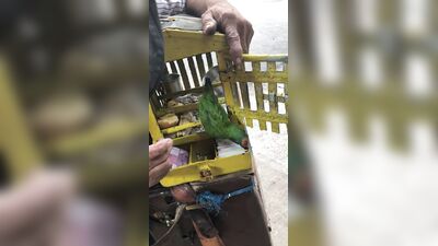 Elena Koshka ХХХ ОнлиФанс