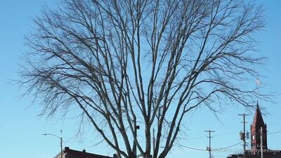 BabyBeeBub ХХХ ОнлиФанс