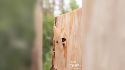 Голая Kira Outdoors