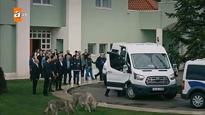 Ceren_fanpage1_20211026_125610_0.mp4