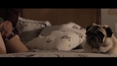 Сексуальная / Голая / Эмили Блант / Emily Blunt / Nude 1