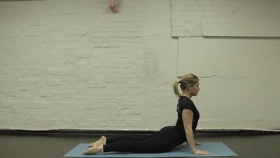 Аштанга намаскарасана, чатуранга дандасана