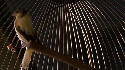 Angelina Jolie - Первородный грех (2001)