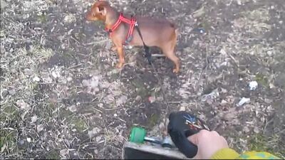 Дора( спортивная прогулка)